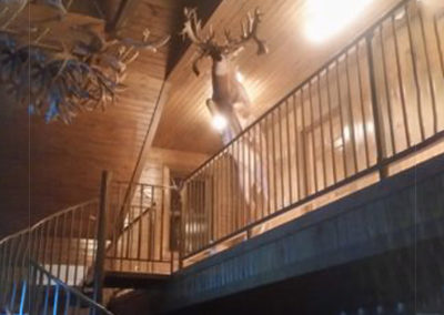 Taxidermy deer in lodge